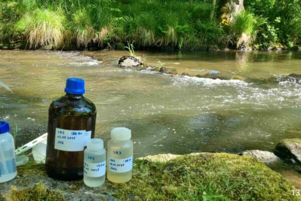 Education_programmers-Professionals_1-scaled