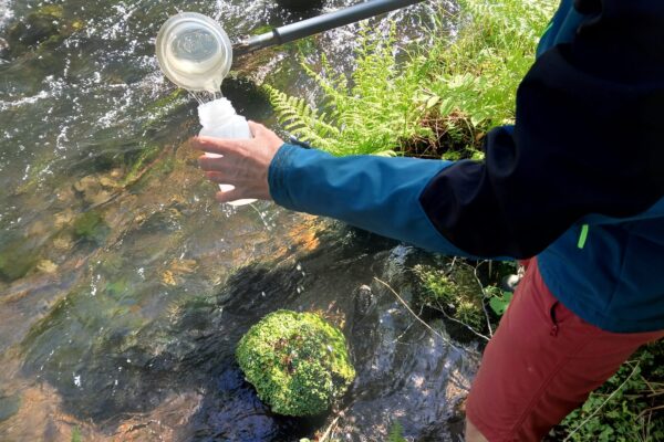 Education_programmers-Professionals_2