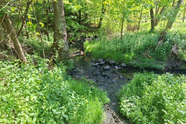 Education_programmers-Public_1