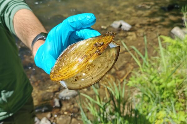 Education_programmers-Public_2-scaled