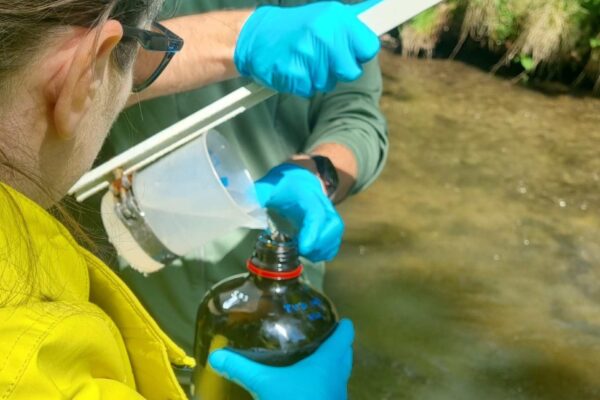 Education_programmers-Students_1-scaled